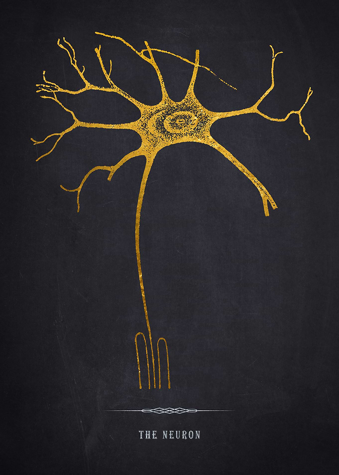 Golden Neuron Illustration