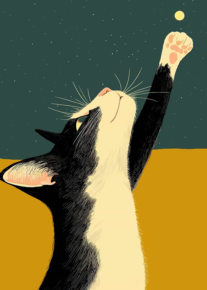 Cat Reaching for Star