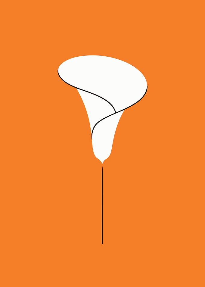 Minimalist Calla Lily Flower on Orange