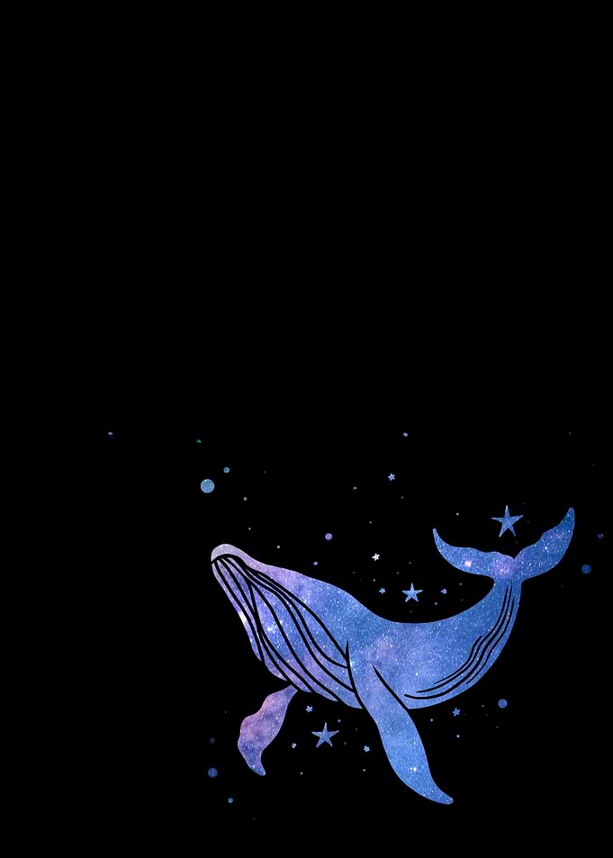 Galaxy Whale