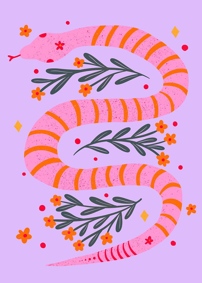 Modern snake pink and orange