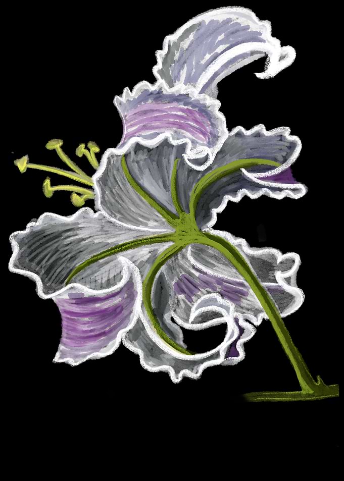 'Lily Blossom' Jamie's Hand-Drawn Floral Collection