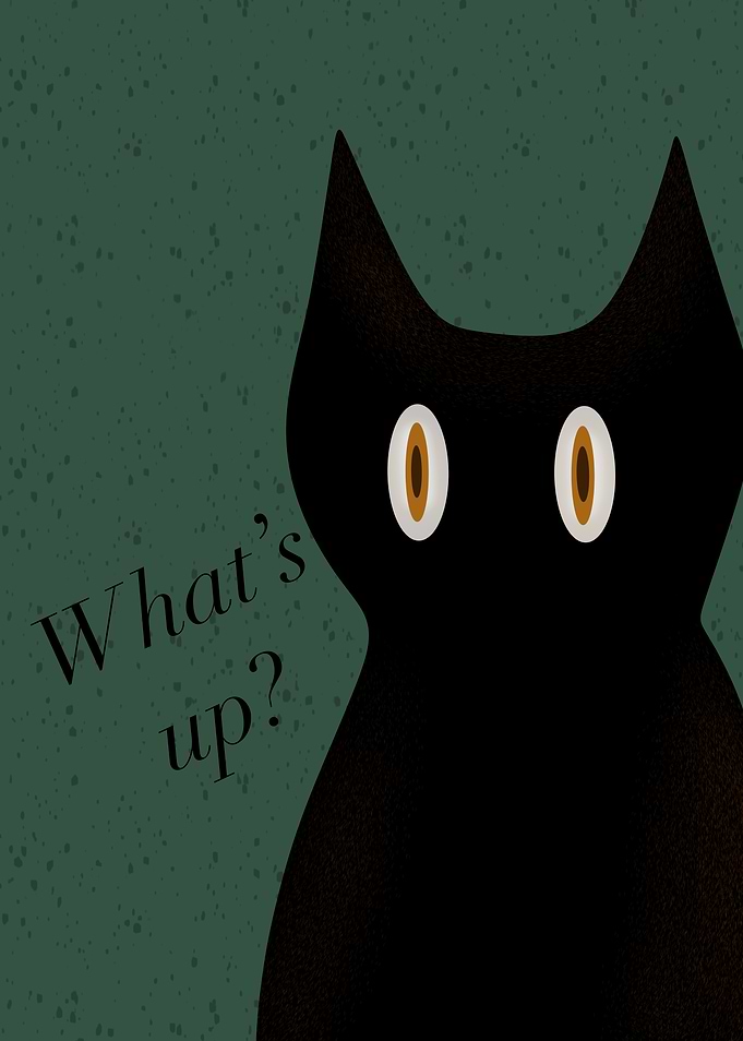 Meow