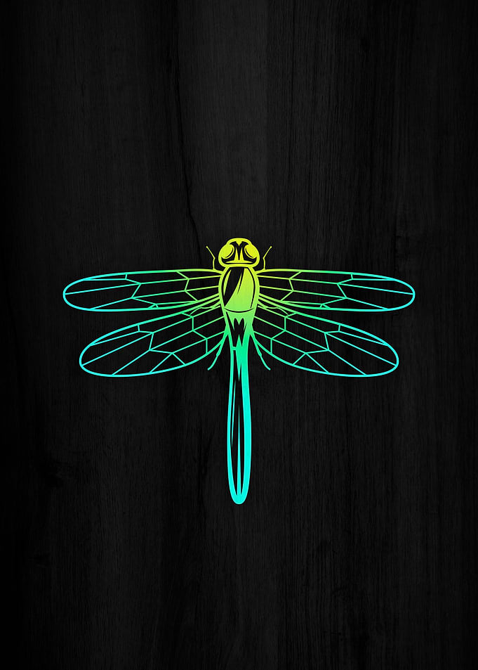 Green Dragonfly on Wood