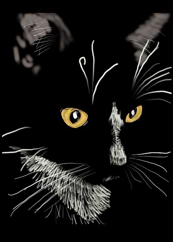 'Sister Cat' Jamie's Hand-Drawn Cat Collection