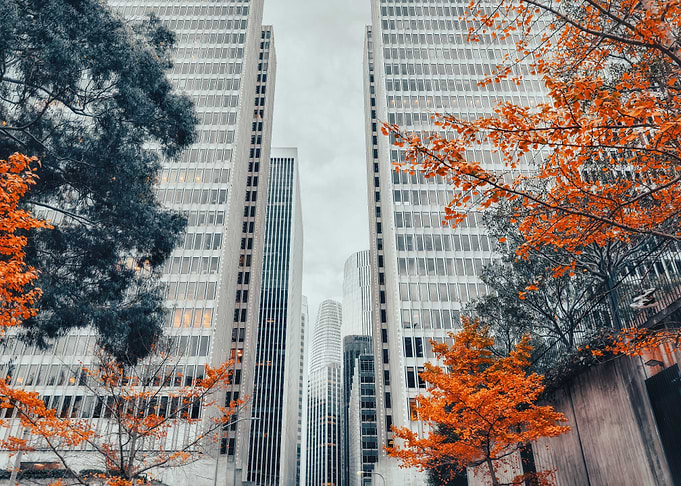 Autumn Cityscape
