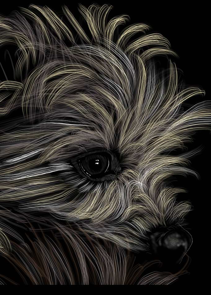 'Chewy' Jamie's Hand-Drawn Dog Collection