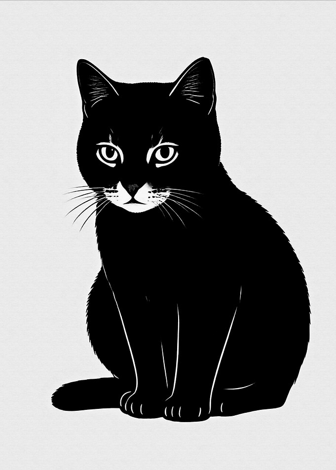Black Cat Silhouette