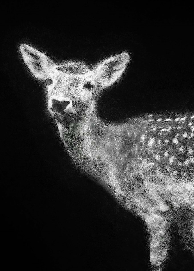 Fawn fine sketch line art