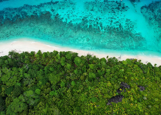 Tropical Island Aerial View