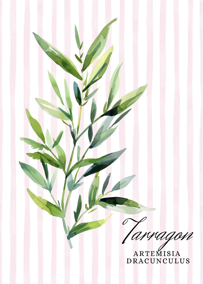 Watercolor Tarragon Illustration | Watercolor Kitchen Wall Art