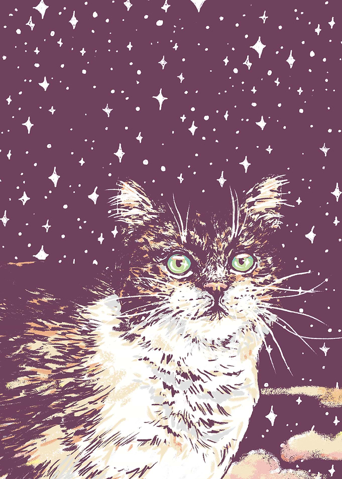 Star Cat