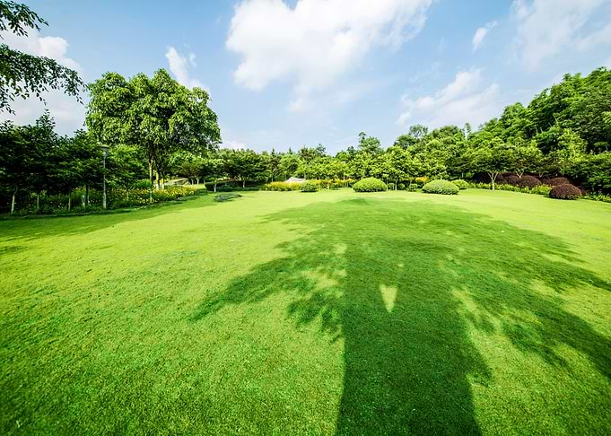 Green Grass Park