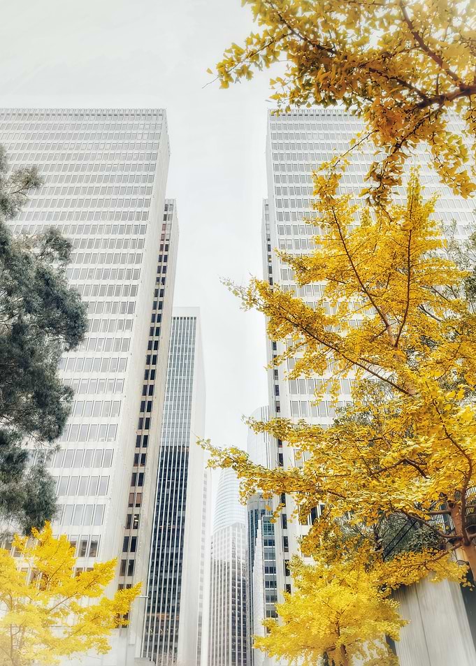 Autumn in the City