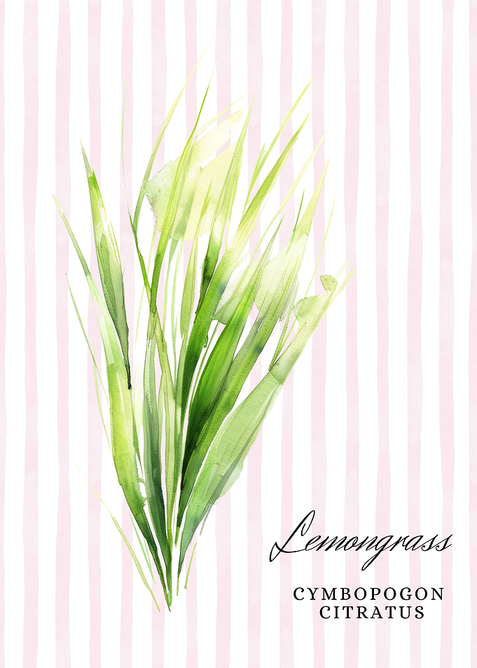 Lemongrass Watercolor Illustration | Kitchen Wall Decor
