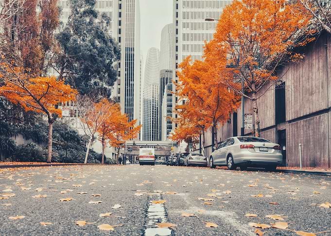 Autumn City Street
