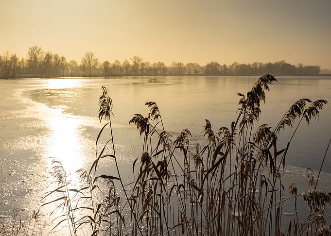Frozen Lake at Sunset, Poland Landscape