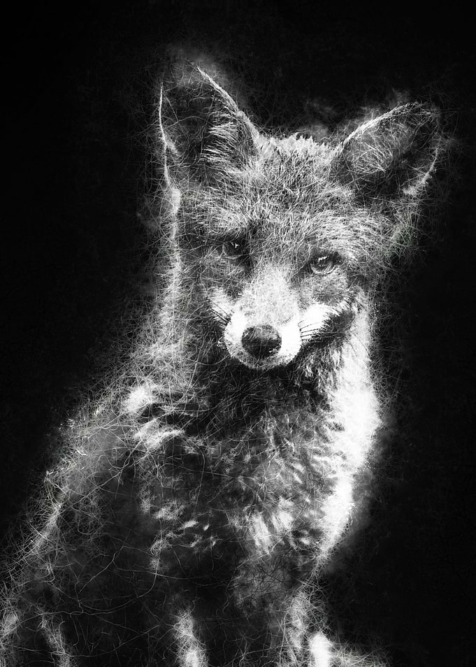 Fox close up glowing sketch art