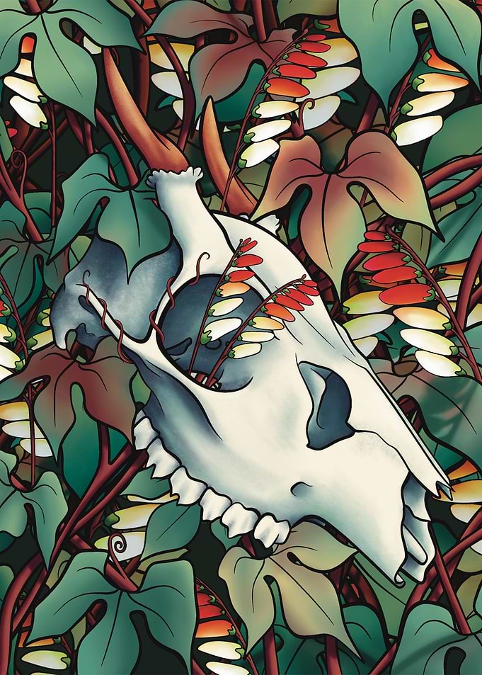 Echoes of Nature