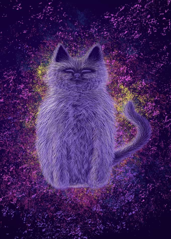 Galaxy Cat