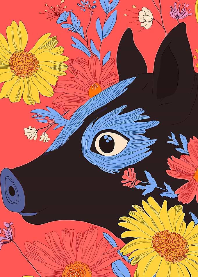 Floral Pig Illustration