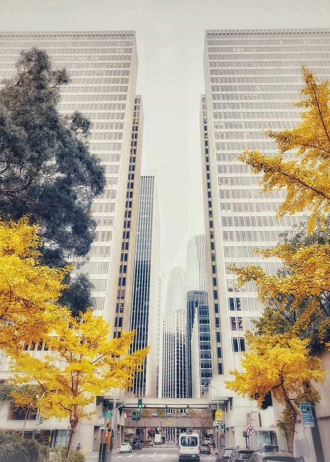 Cityscape with Golden Trees