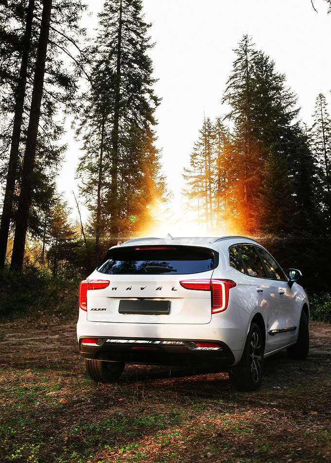 White SUV in Forest