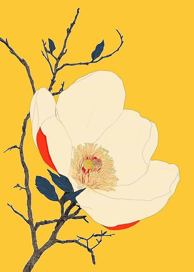 White Flower on Yellow Background