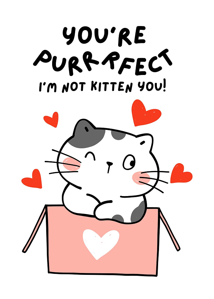 Perfect Cat Cute Cat Pun