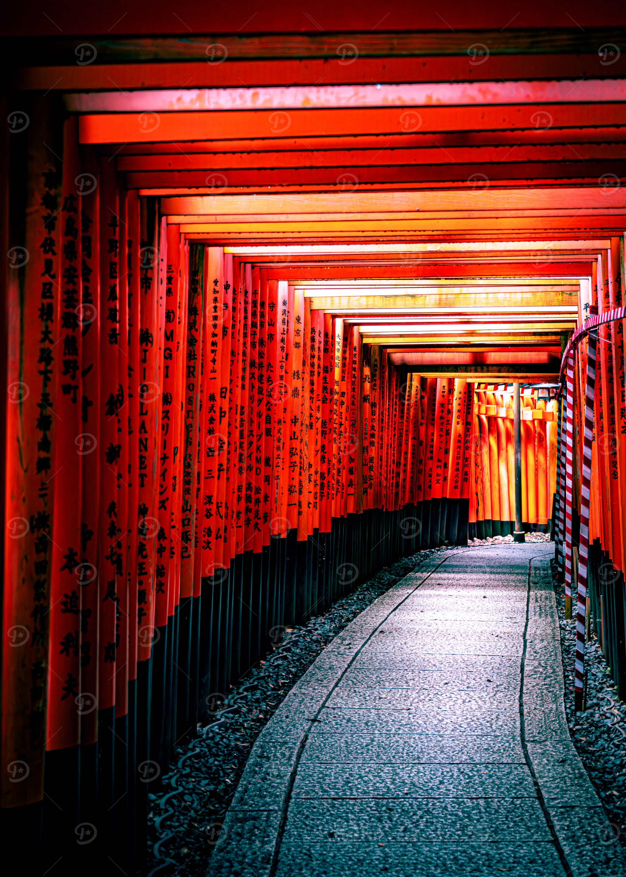 Red Torii Gates Pathway