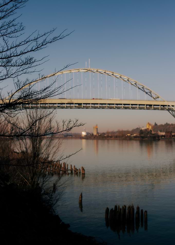 Fremont Bridge January