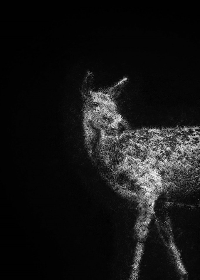 Deer fawn Silhouette sketch art