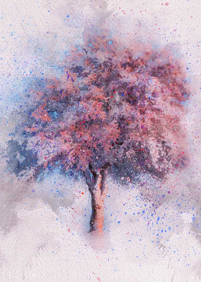 cherry blossom tree watercolor painting