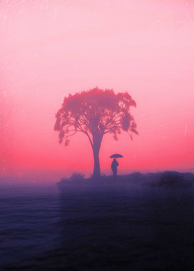 Silhouette in Pink Mist