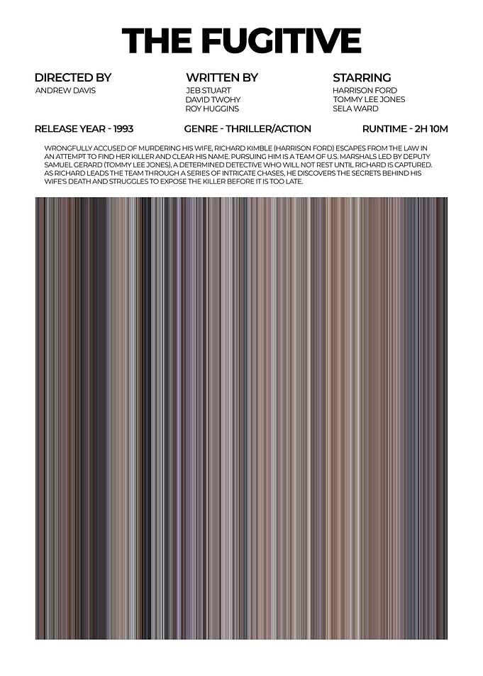 The Fugitive Movie Poster