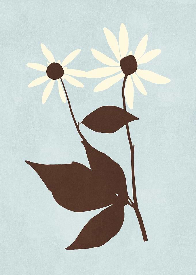 Rudbeckia Floral Illustration