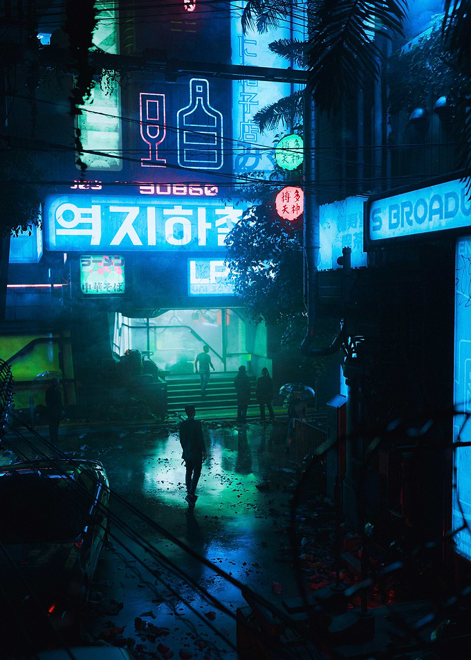 Nocturnal Animals