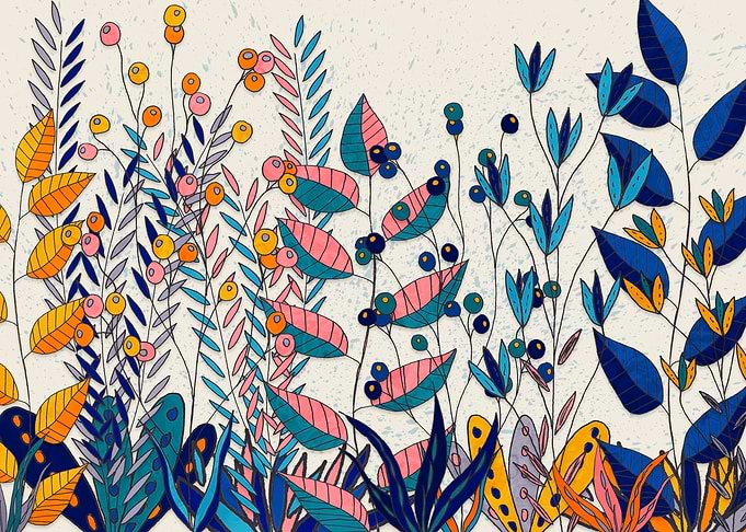 Colorful Floral Illustration