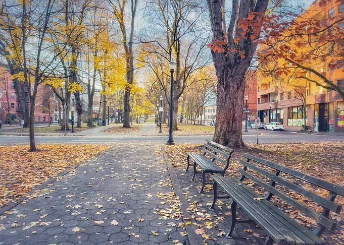 Autumn Park Bench