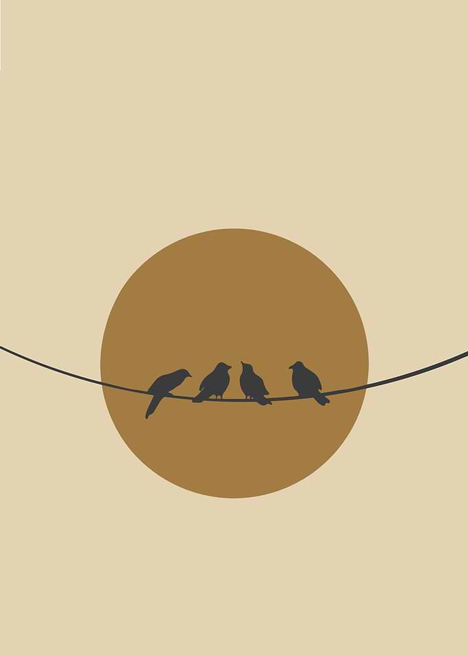 Birds on Wire with Sun