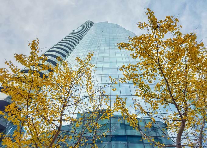 Modern Skyscraper with Autumn Trees