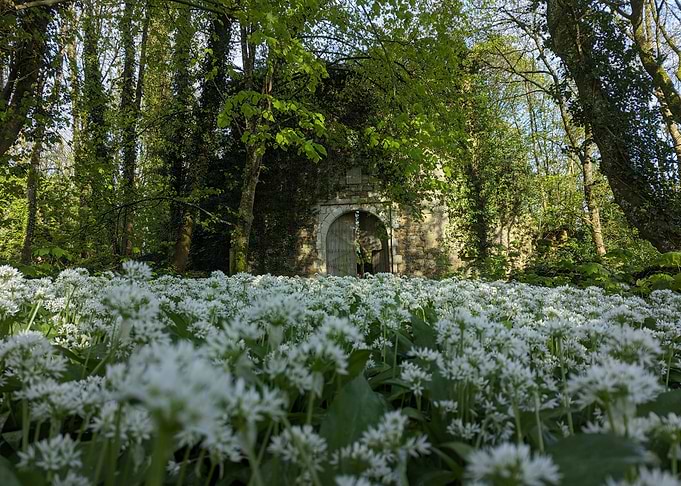 Stone Archway in Wildflower Volvi
