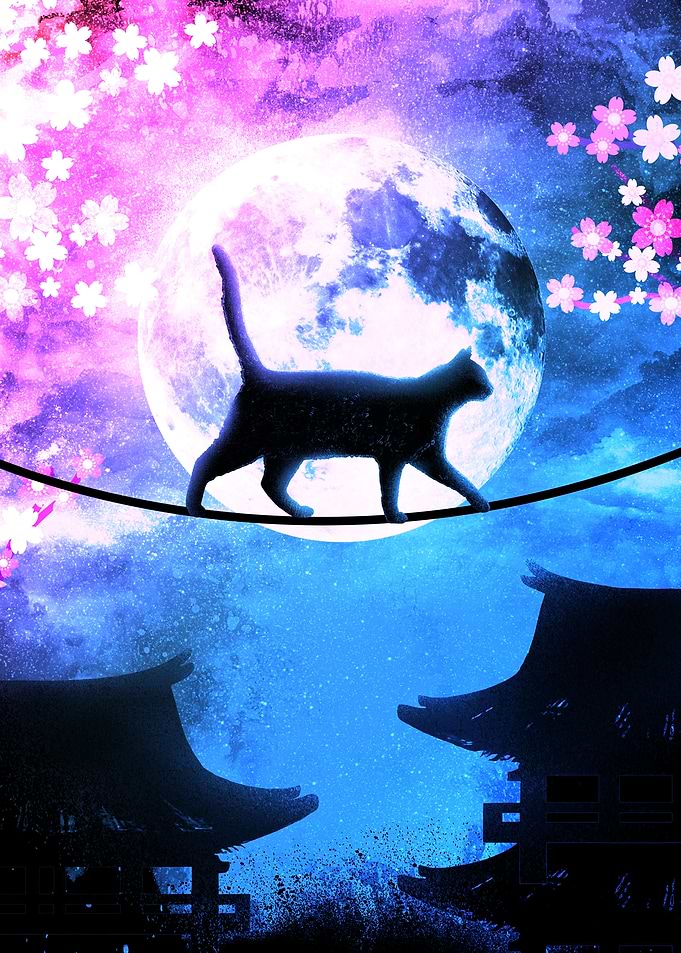 Soul of the Moon Cat Walking