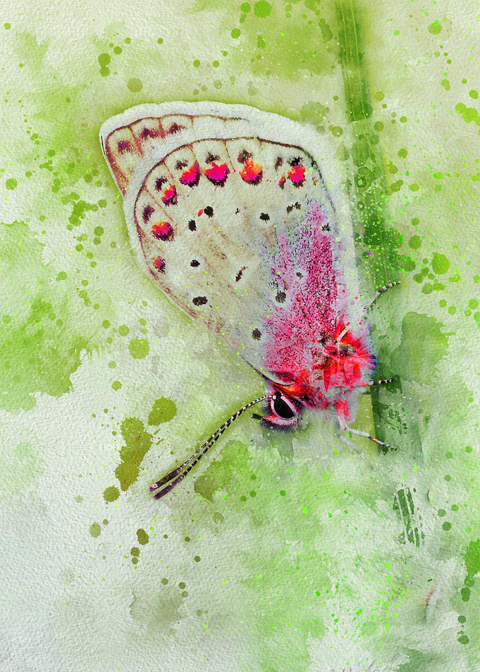 butterfly on a plant stem watercolor painting