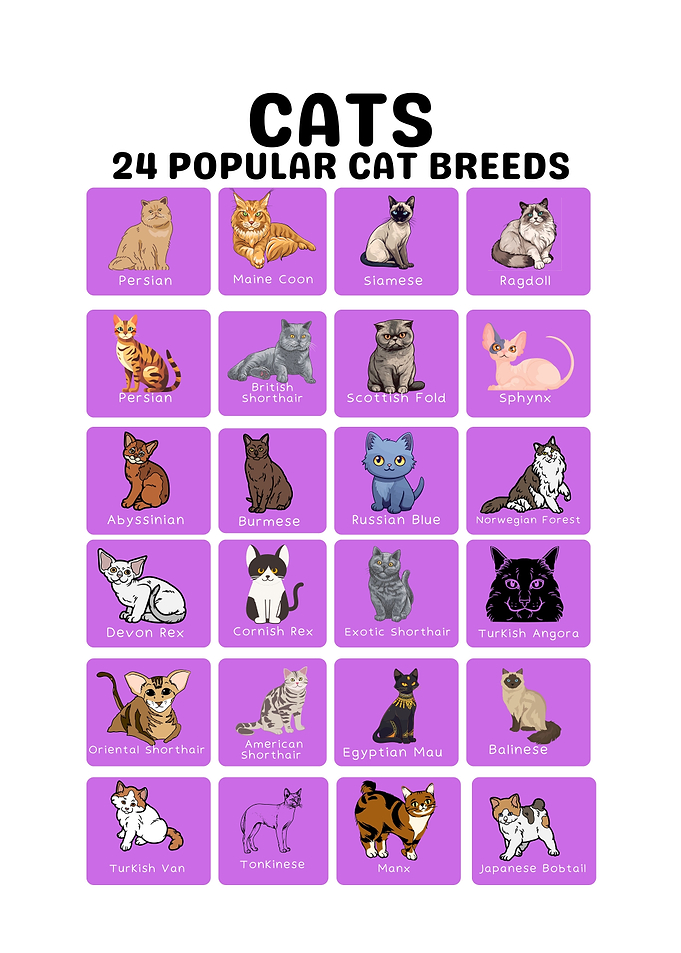 24 Popular Cat Breeds Chart