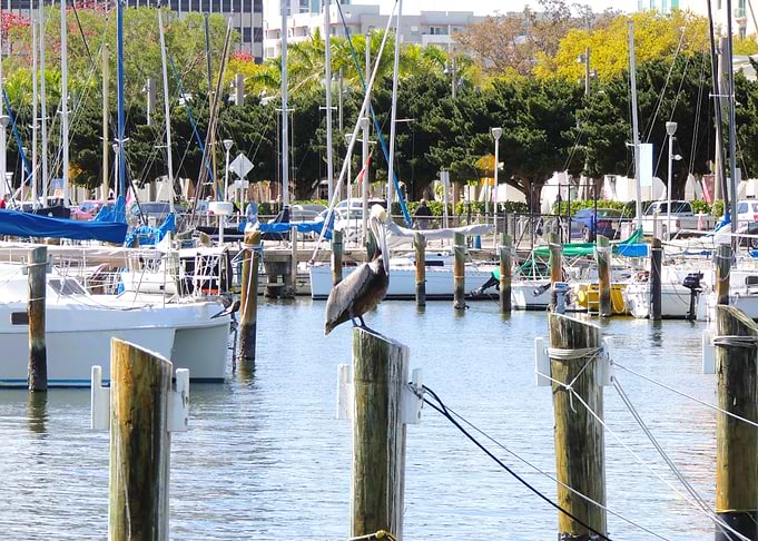 Dockmaster