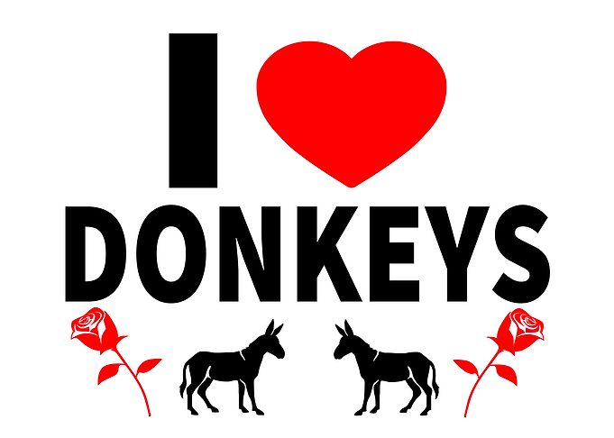 I Love Donkeys