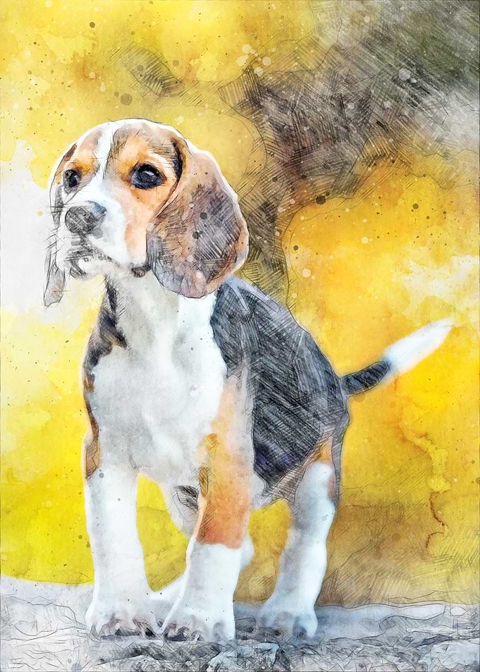 Beagle Watercolor Portrait