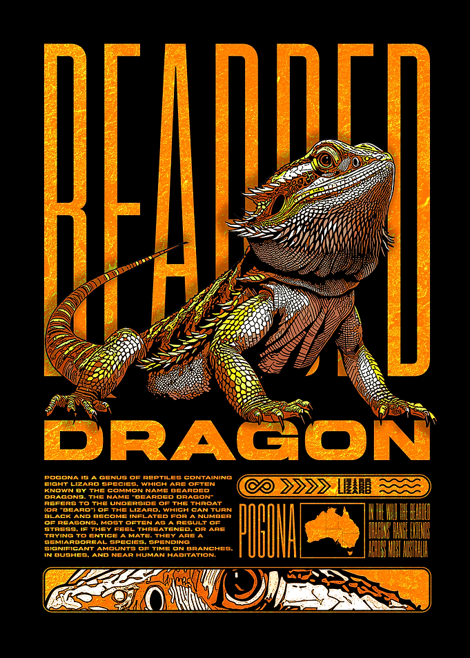 Bearded Dragon Modern Reptile Room