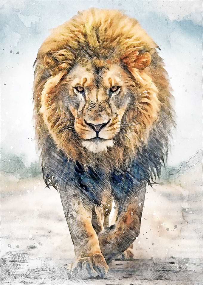 Lion